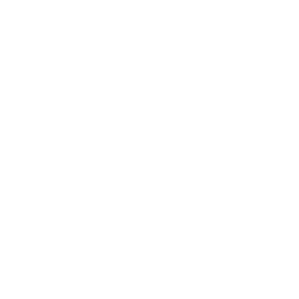 RMG_Icon_phone